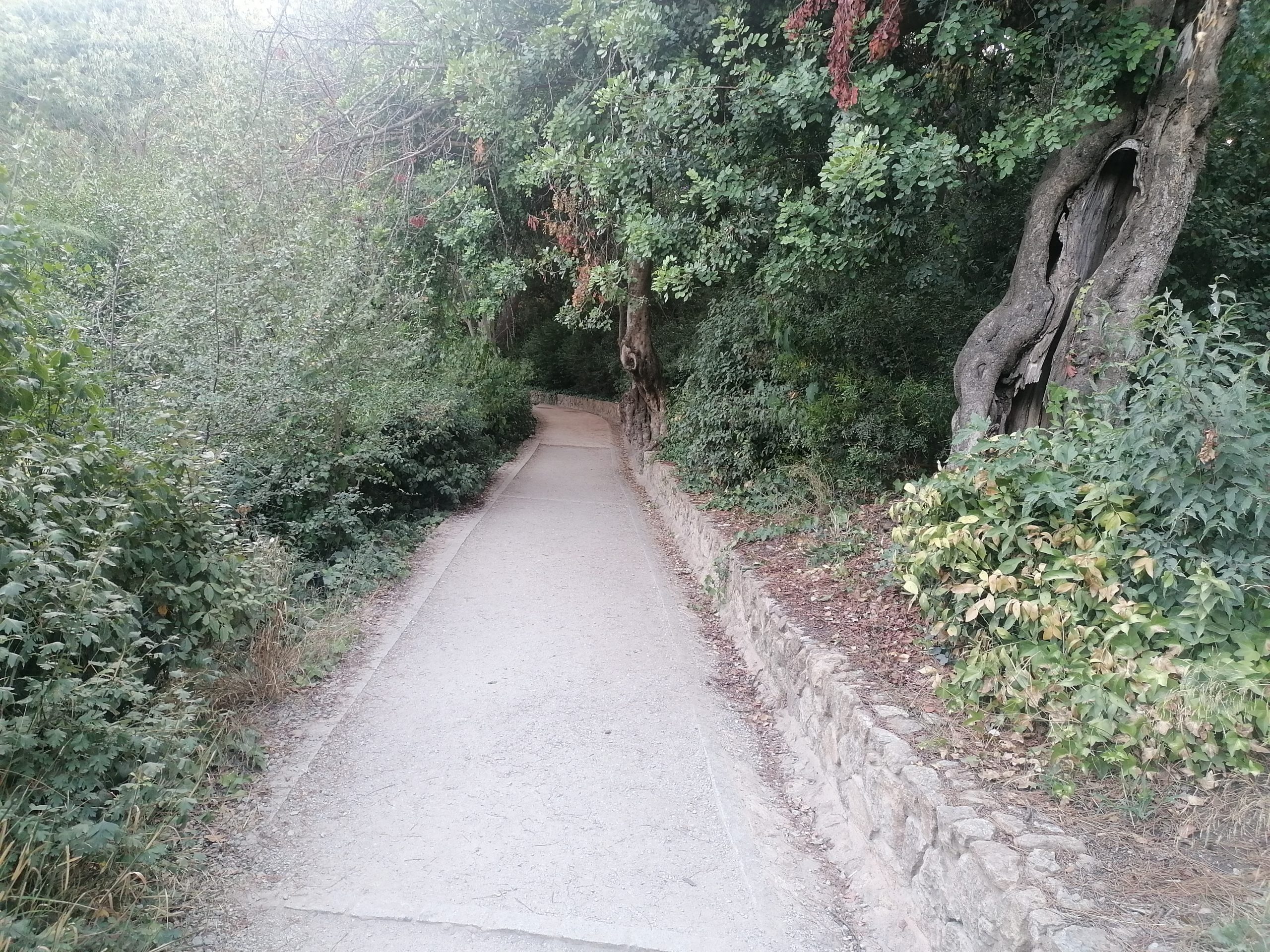 visiter le Park Güell